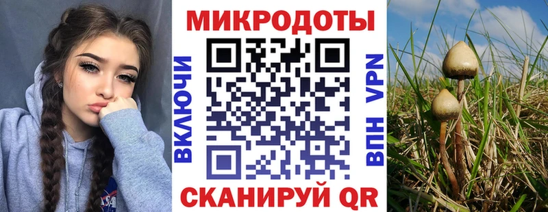 Псилоцибиновые грибы GOLDEN TEACHER  Купить  Арсеньев 